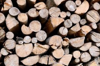 Bois énergie : ressource renouvelable pour le chauffage